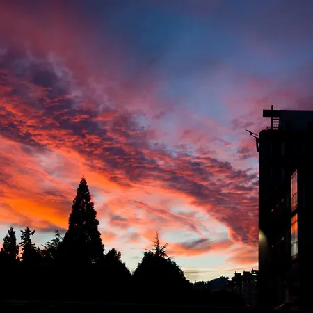 Tejas - Ideal Familias Y Grupos Bayubas de Abajo