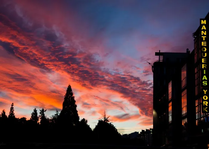 Tejas - Ideal Familias Y Grupos Bayubas de Abajo